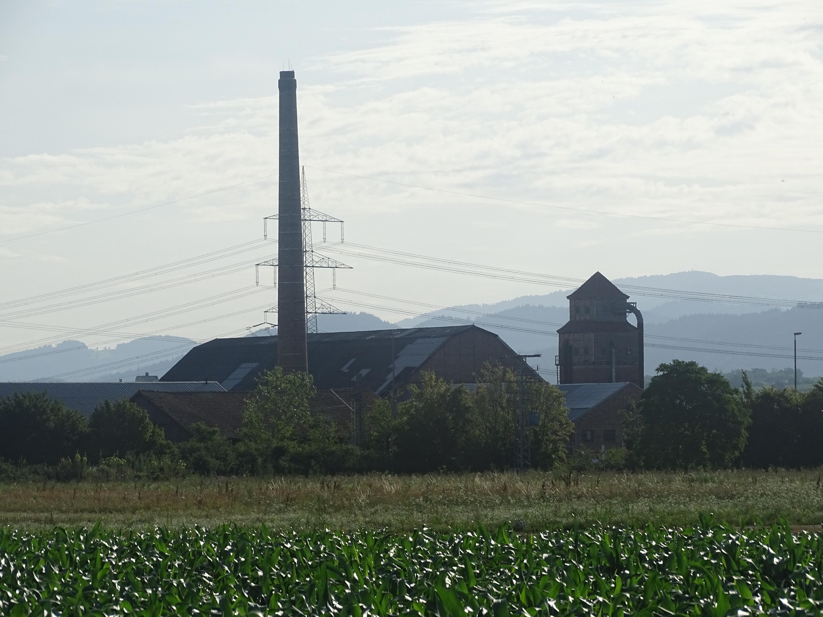 Ein Maisfeld mit einem Kraftwerk, Gebäuden, Bäumen, Überspannungsmasten und Drähten im Hintergrund, vor einem bewölkten Himmel und fernen Bergen.