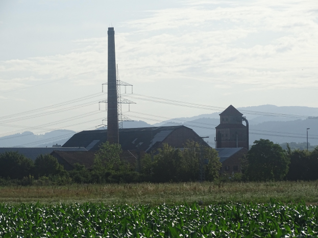 Ein Maisfeld mit einem Kraftwerk, Gebäuden, Bäumen, Überspannungsmasten und Drähten im Hintergrund, vor einem bewölkten Himmel und fernen Bergen.