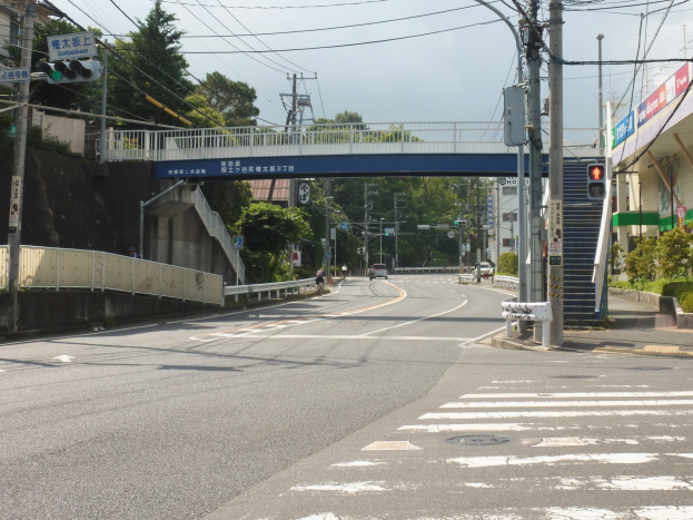 Stadtstraße mit einer Fußgängerbrücke darüber, Fahrzeuge auf der Straße, Strommasten mit Drähten, Verkehrssignale, Schilder, Gebäude mit Fenstern, Bäume, Pflanzen und einen Himmel im Hintergrund.