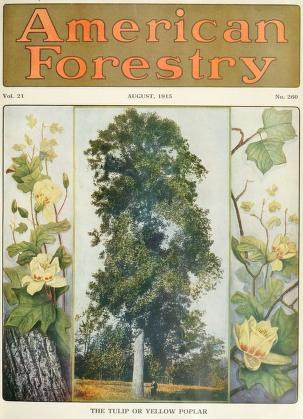 Titelbild der *American Forestry Magazine*, August 1915, mit leuchtenden Illustrationen von Bäumen, Blumen und Laubwerk.