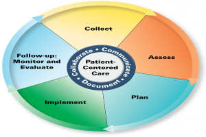 Kreisförmige Diagramm mit der Beschriftung "patientenorientierte Pflege" mit vier farbigen Abschnitten, die jeweils mit einem spezifischen Aspekt der Pflege beschriftet sind, auf einem weißen Hintergrund.