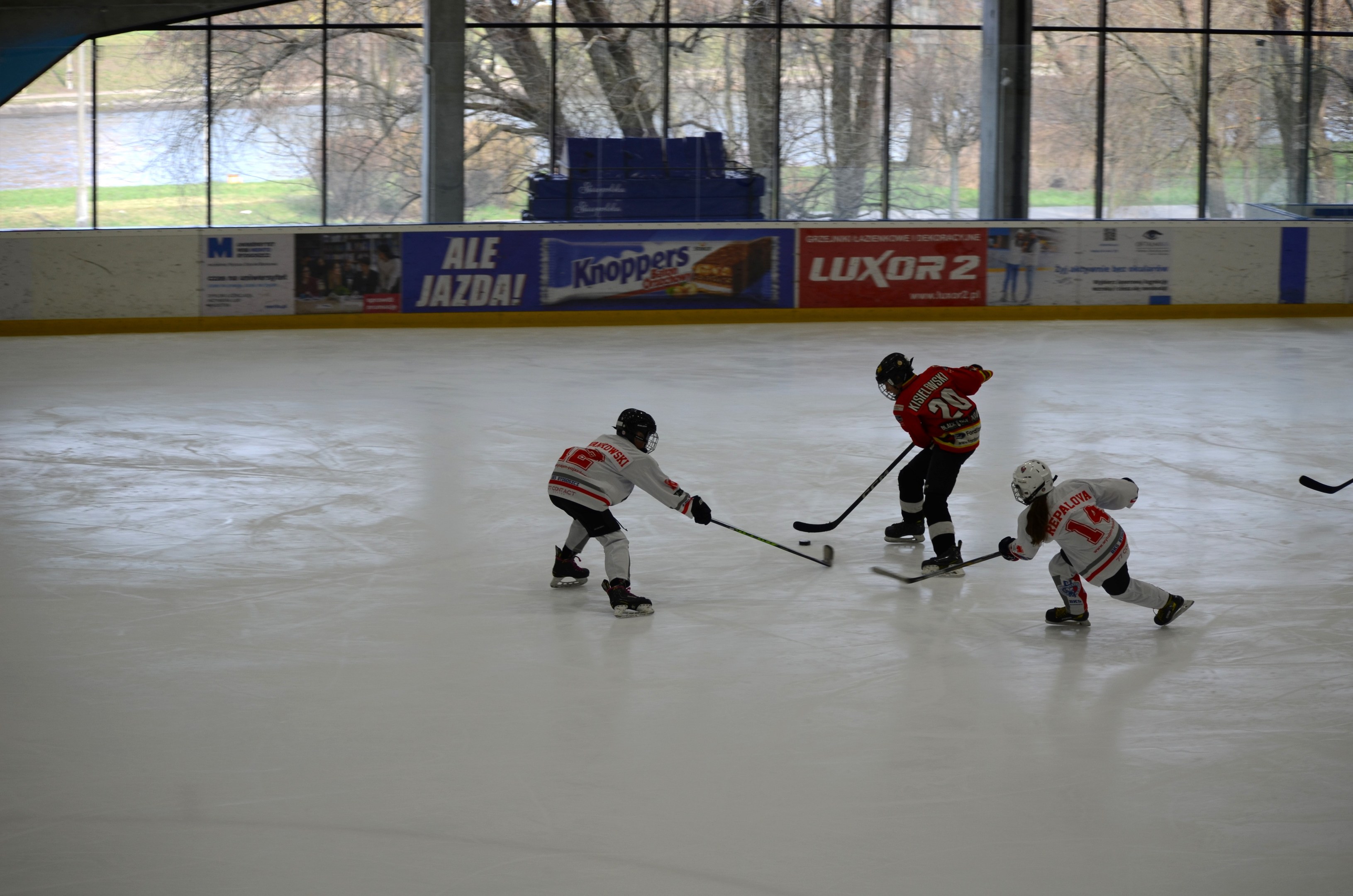 Gruppe von Menschen, die Eis hockey auf einer Indoor-Eisfläche spielt, mit Helmen und Schlittschuhen und Hockey-Schlägern, mit Bannern an den Wänden und durch die Glasscheiben sichtbaren Bäumen.