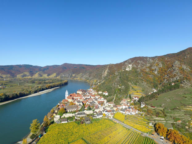 Kleiner Ort an den Ufern des Rheins, umgeben von grünen Hügeln und Weinbergen, mit Gebäuden, Bäumen und Fahrzeugen im Vordergrund unter einem blauen Himmel.