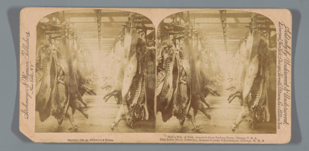 Ein Schwarz-Weiß-Foto einer Gruppe von Tieren, die von der Decke eines Schlachthofs hängen, mit Text auf einem Blatt Papier davor.