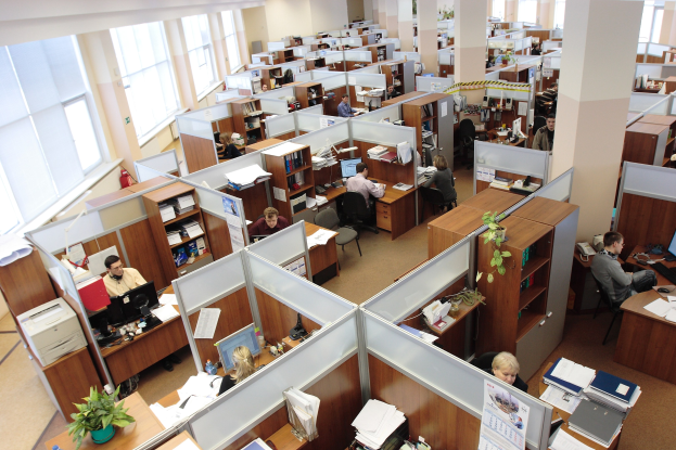 Starkes Wachstum für Design Offices im Geschäftsjahr 2024