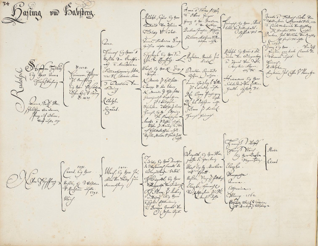 Ein altes Buch mit handgeschriebener Familiengeschichte, einschließlich der Namen der Familienmitglieder, die in einen Autounfall verwickelt waren.
