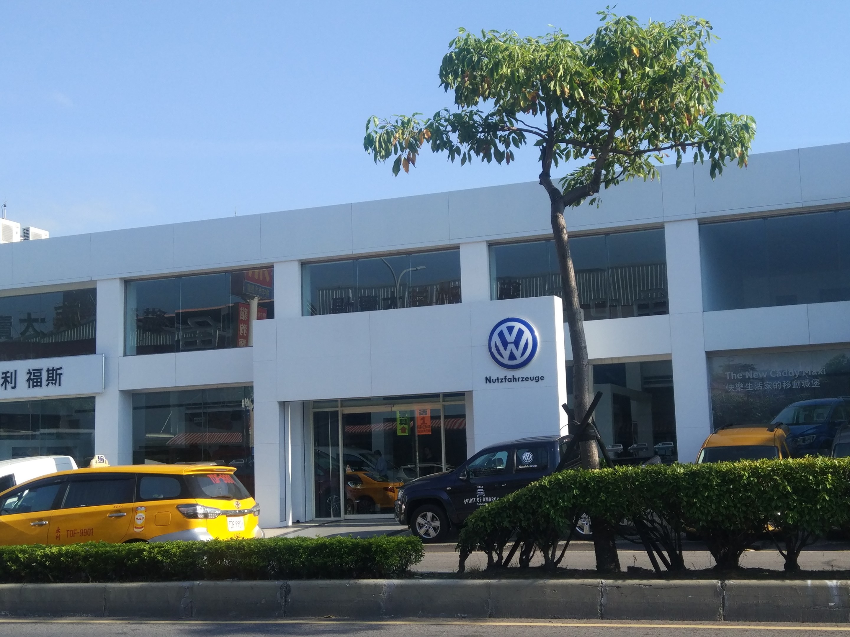 Ein VW-Autohaus mit Glaswänden und -fenstern, das Autos zeigt, die davor geparkt sind, umgeben von Pflanzen und einem Baum unter einem sichtbaren Himmel.